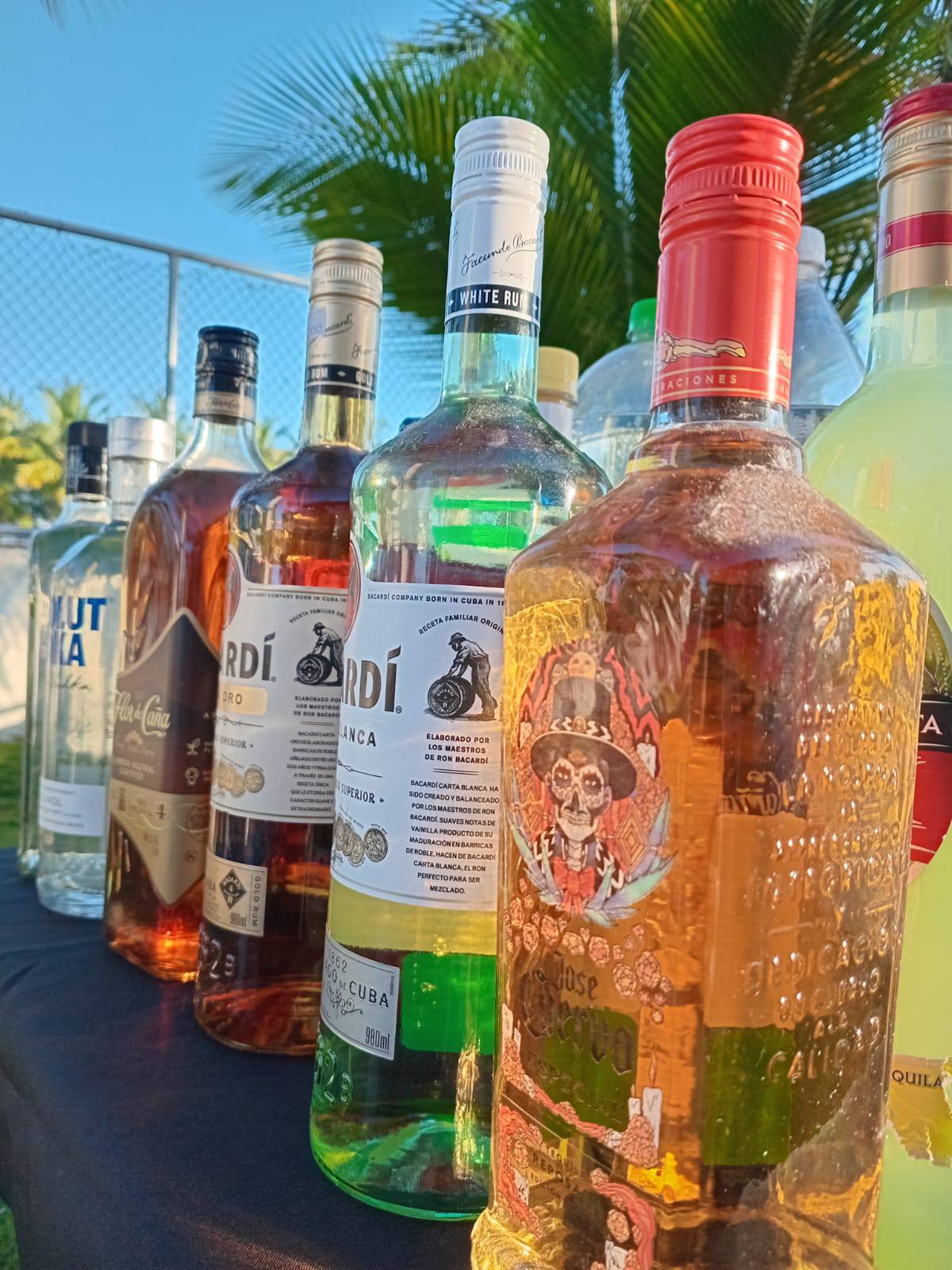 Mixología Premium 🍸